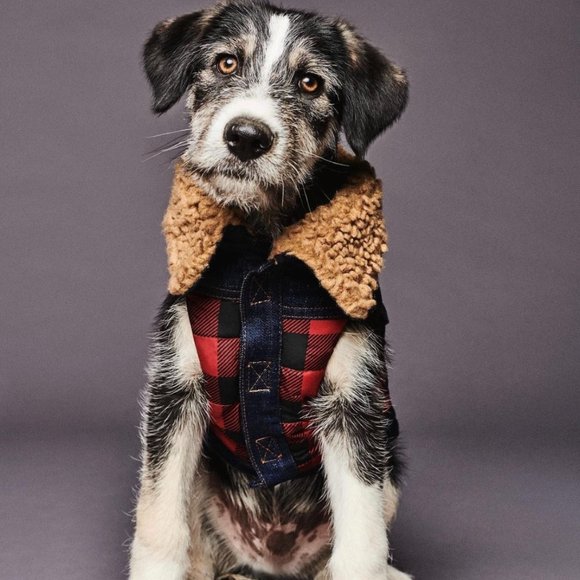 DSQUARED2 x POLDO Red/Black Check Collared Vest - Picture 1 of 7